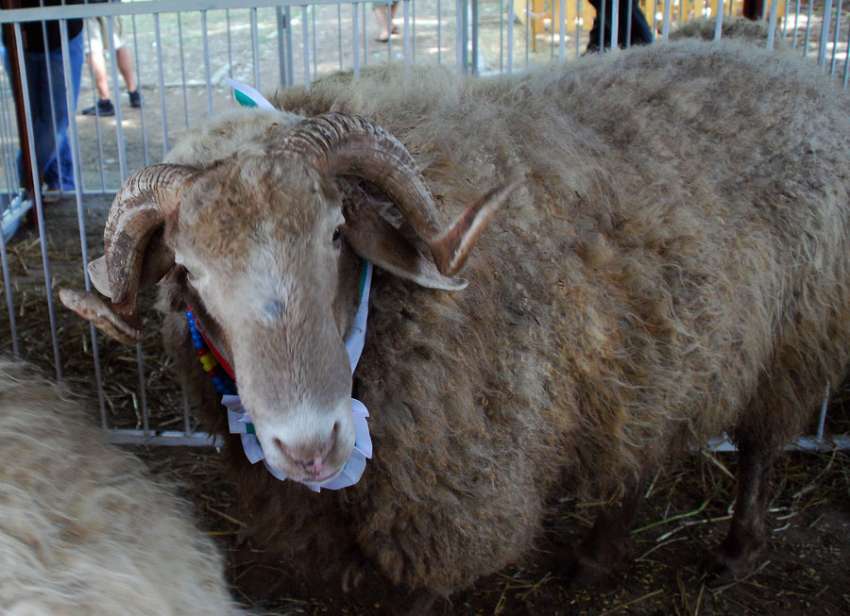 ������ �����, �� ����� ���-����� � ��, �� �� ����� ����� ����. ��� � � ���?