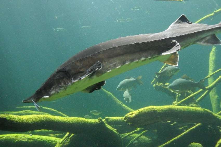 � �������� ���� ����� ������� ������ ��������� ������� �� ���� �� ������