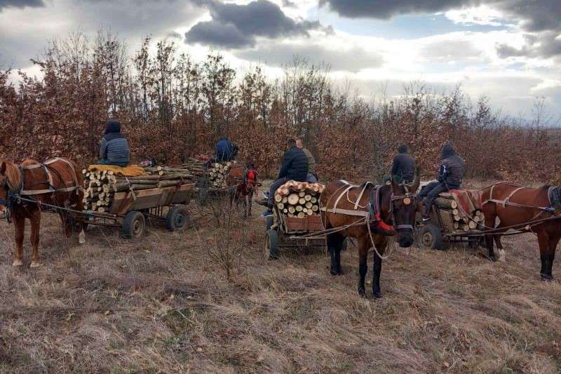 ��������� 4 ������ � ��������� ����� �� ����� � ��������� �� ������� 