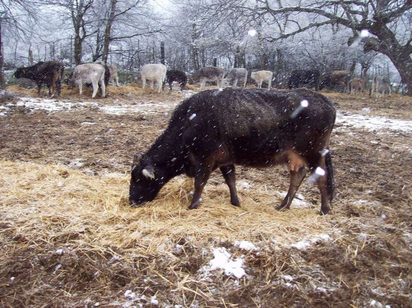 ������� �� ����� ���� � ���������� �� �������� �� 46 ���. ��. ������� ���� �� �����