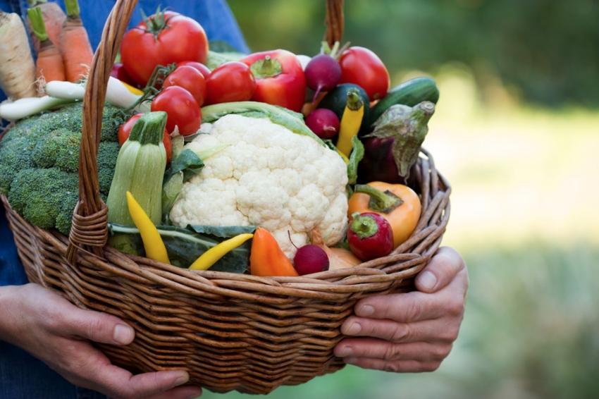 ������������ ���������� �� ������� ���� 2025-�� � ���� �������� ��� ��� ������ ���