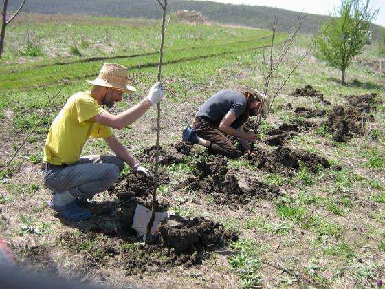 ���������������� � ���������� �������� 9 �������� � ���������� �������� 