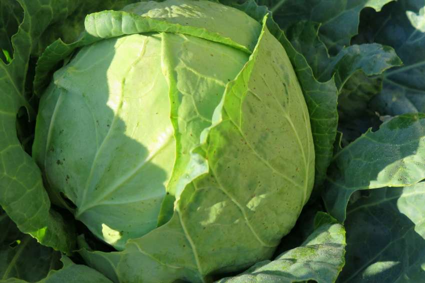 ��������� � ������� �������� ����� �� �������� ��������� ������