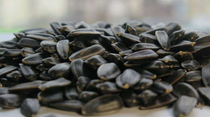 ����������� � ��������� �� ���������� � ������� � ��� ���� �� ������� ����� 