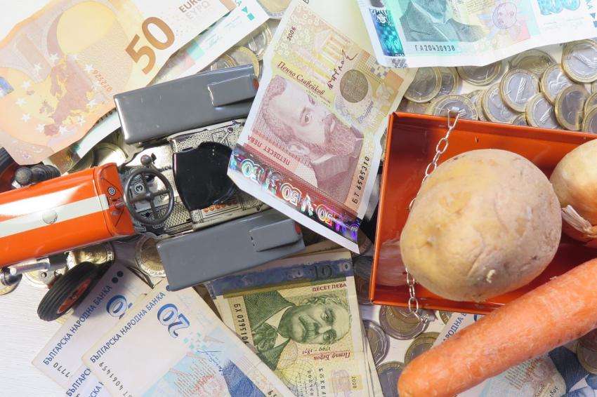 �������� �������� �� ����������� ���� 2025 �., �� � ��-����� ������ ���� 2026 �.