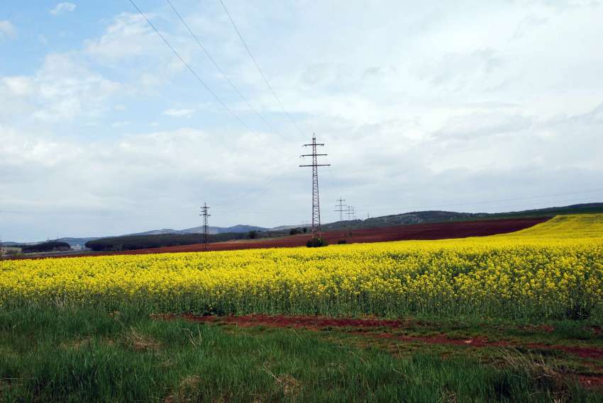 ��������� � ������� ������ �������� ����� � ������ ������