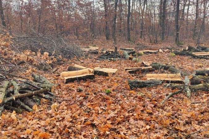 �������� ��������� � ���� �� ������� � ���������� �� �� �� �������������� 