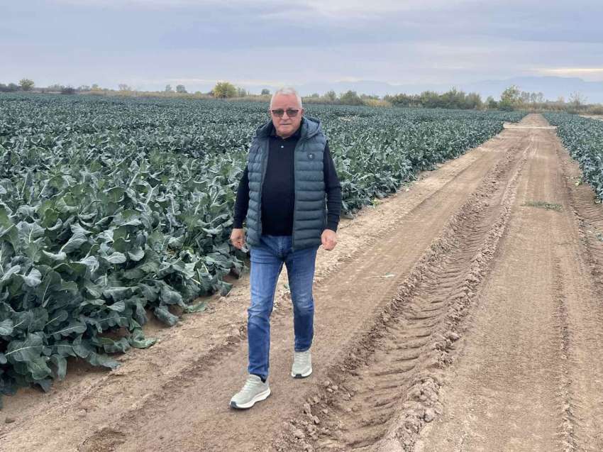 �������� ������: ��� ���� ����� � ������ � �������� � ��������