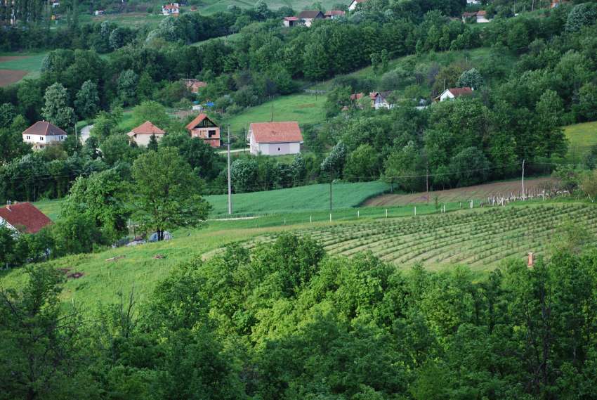 ������ �� ���������� � ��� �� ����� �� ������ ������ �� ������������