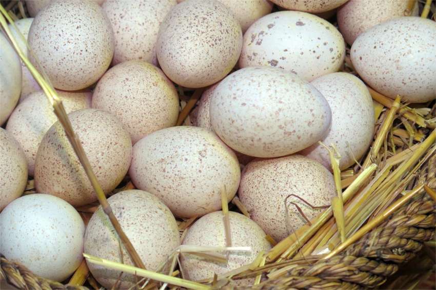 ������� � �������������� �������� ��� 2 ������ �������� ���� �� ������ � ������� ���� 