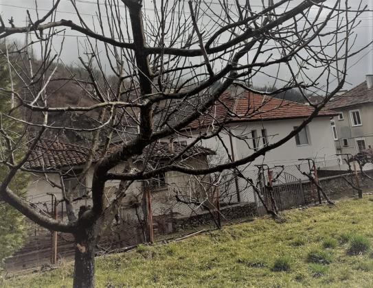 ����� ������� �� ��������� � ����, ��� � ��� �������� �� ����������