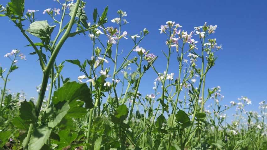 ���������������� ��������� � ��������� ������� � �������� 2026