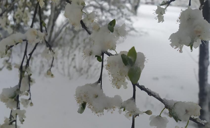 ������� �� ���� � ����������� � ������� �������� ��� ���� �� ���������?