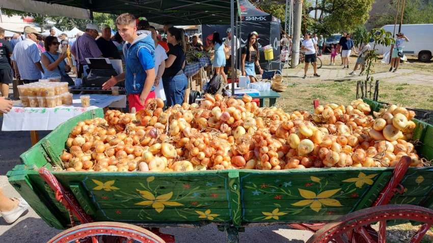 �� ������� ���� ��������� �� ����� ����� �� �������������� � �� ���� 2026 �.