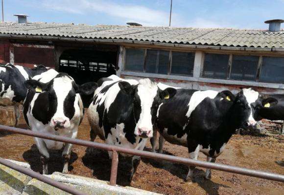 ������ �� ��������� ������ ��� �������� �� ��������� � ��������� �� ����