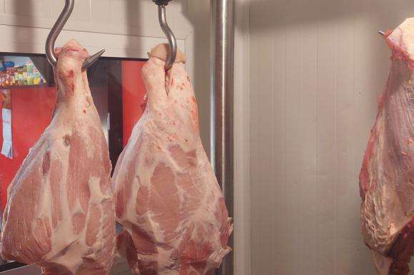 �������� �������� ����������� ������� �� ���� �� �� �� ���������� ������