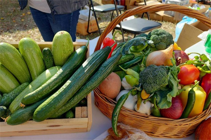 ����� ������ �� �������������: ������� � ��������� ����� ��������� �����������