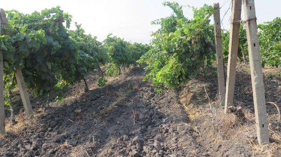 ��������� �������� �� ������������ �� ���� ���� � 767 ����/������