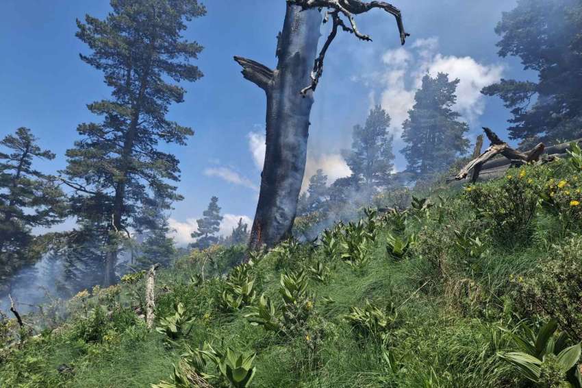 WWF �������������: �������������� �� �������� �� �� ���������� ��������� � ��������