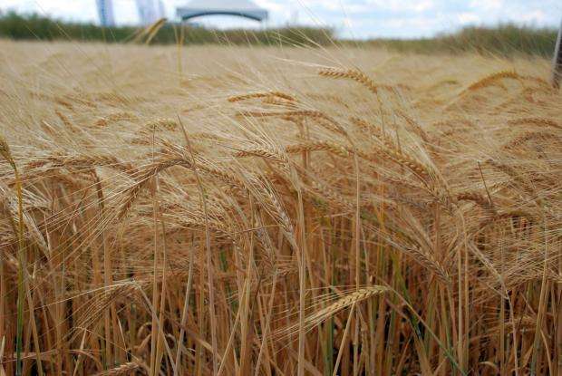 ����� � �������� ��������� ������� �� ���� �� ������� ������ 