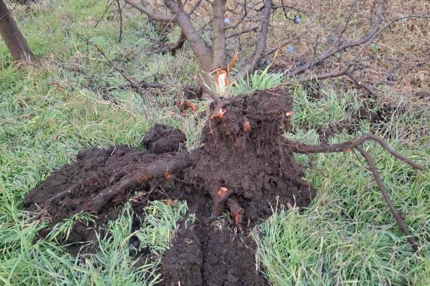 �������� ������� � ��������� ����� 28 ������ ������ � ������ ���� ���� 2025 �.