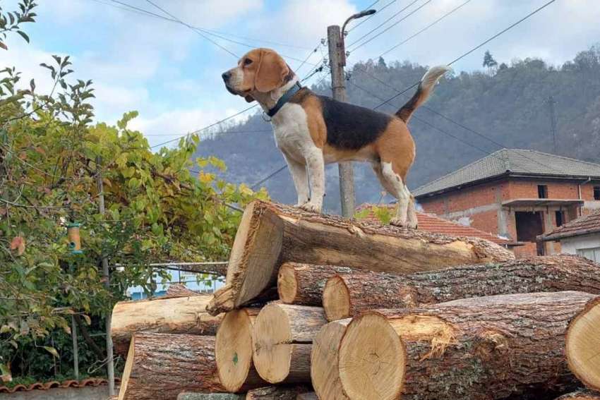 ���� ������� �� �������� � ������� � ��