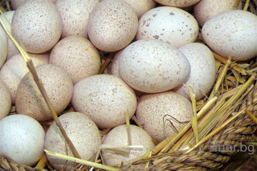 ���������� ��� 86 000 ���� ��� �������� �������� ��� �������� � ��������