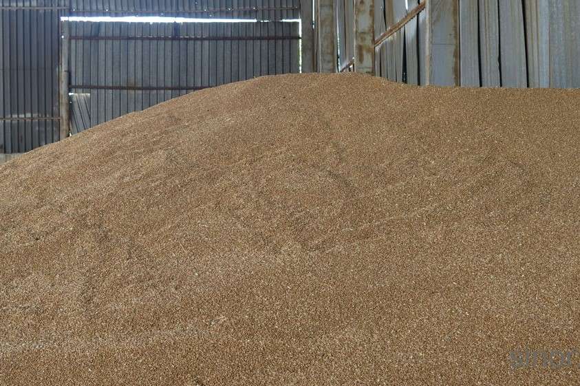 ����� �� �������� ����� �� �������� ������� �����