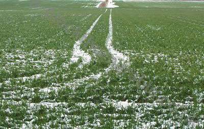 �������� ������ �� ������� ����������� ����������, �������� ��� ����������� �� ���������� � ����� � ���