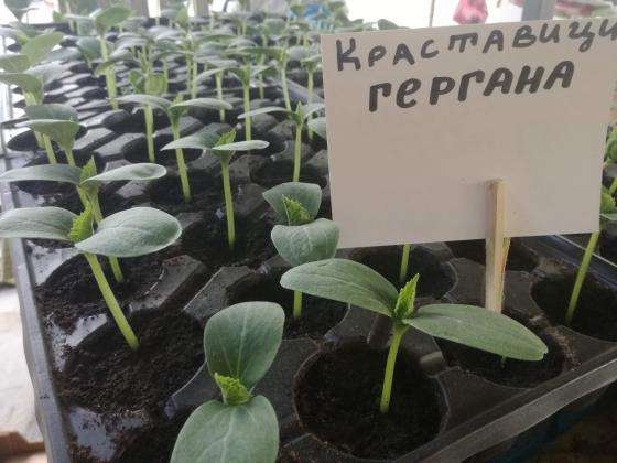 ��������� �� �������� �� �������� � ������ ��� ����� ������ � ������ ����������  