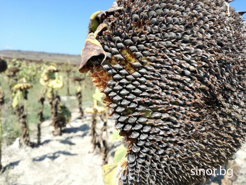 ������� �������� ����� ������ � �������� �� ������������ �� ����������� ������� �� ���������