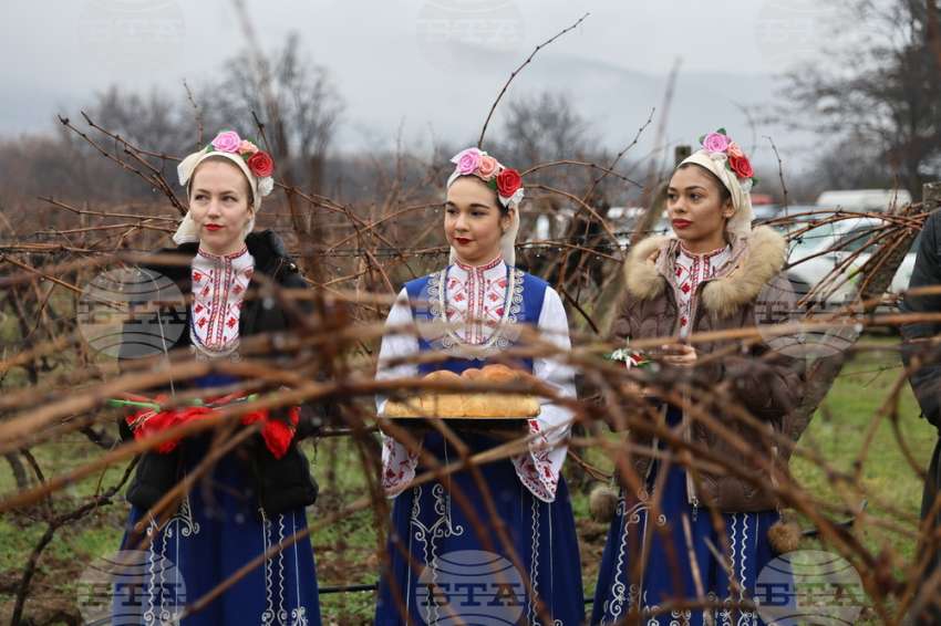 ��������� ����������� ������� ��� ���� ���� �� ������ ������� 