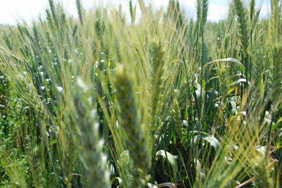 ���� ����� ��������� ������ �� �������� � ��� 500 ������ ����