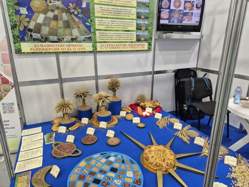 ��� � �����: �� ���� � ������ ����������� ���������� �� ���� ������� � ������