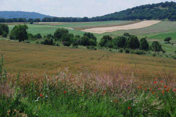 ������� ������ ��������� �������� �� ���� ��������� �� ��������