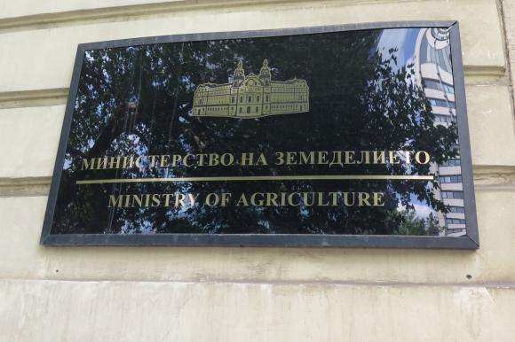 ����� ������ � ���: ��������� �� ����������� �� ������� � ���� �� �������� �����������