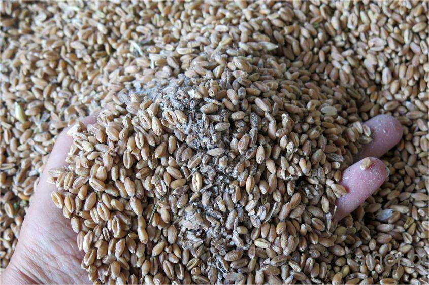 ������� �� ����� �� �� ������� � ����� 20 �� ��� ������ ������� �����