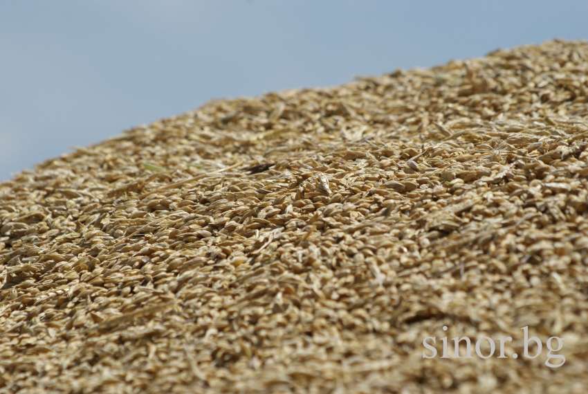 ����� �� �������� ����� �� �������� ������� �����