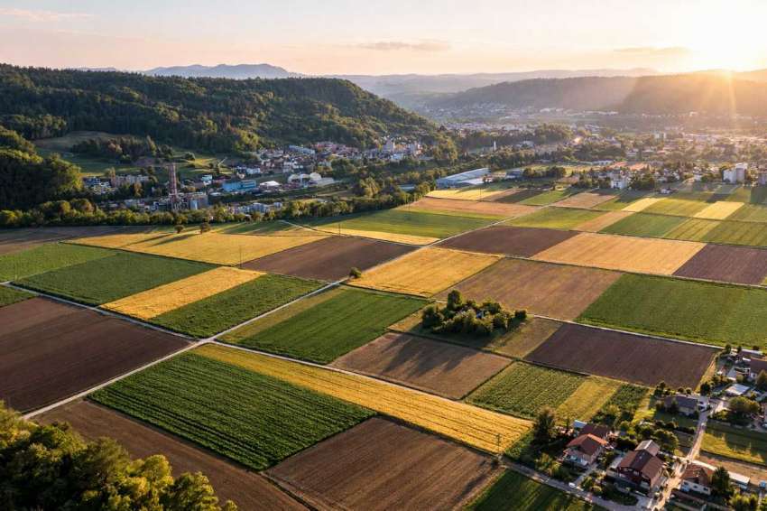 ��������� �������� ������ �� ���� �� ������