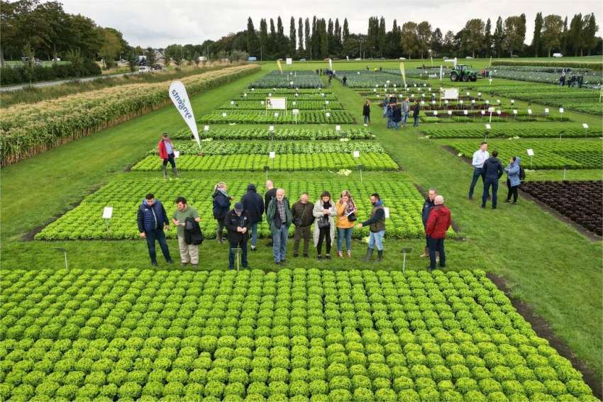 ����������� ���� ����� �� �������� �������� �������� ��� ���������� ������