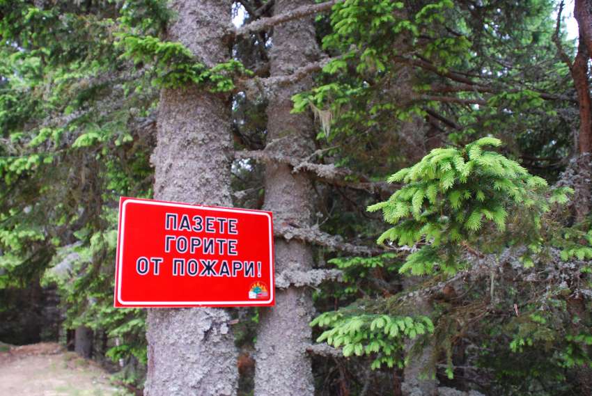 ����������� ������� ����� �������� �� ����� � �������� ���� ���������� � �����