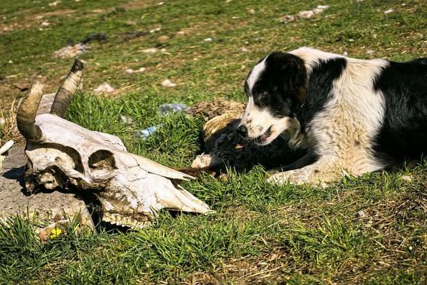 � ���������� �������� ������ ����� �� ������������ ������ �������