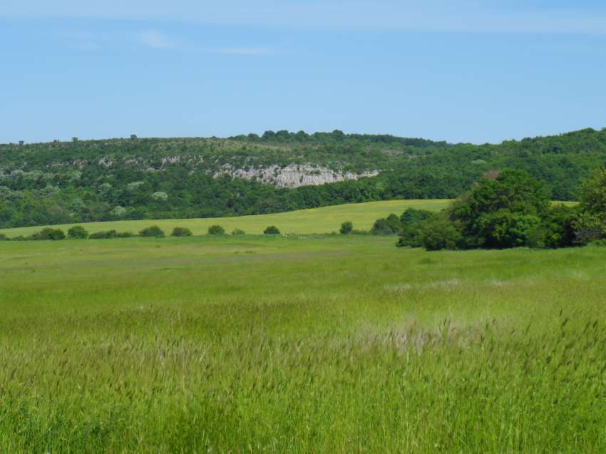 ���������� ������ ���� ����� �� ����� ����� �� ����������. ������ �� �, �� �� �� ������ ����?