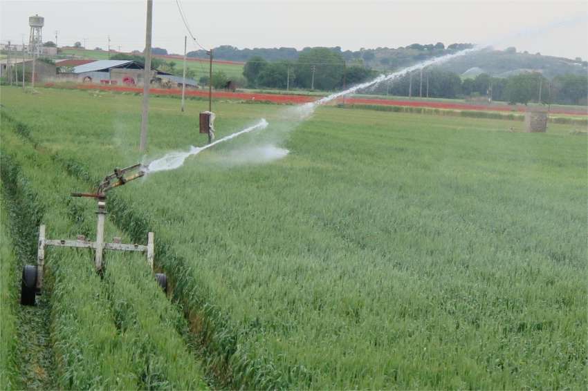 ���� �������� �� ��������� ������� � ��������� ���� 2026 �.