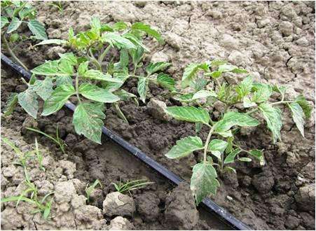 ��� �� ��������� � ������� 3, ����������� � ��������� �������