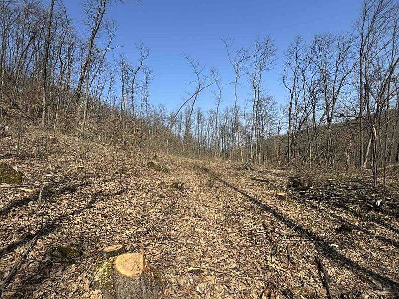 ������ ��������� �� 6 ������ �� ���������� � ������������� �������� 