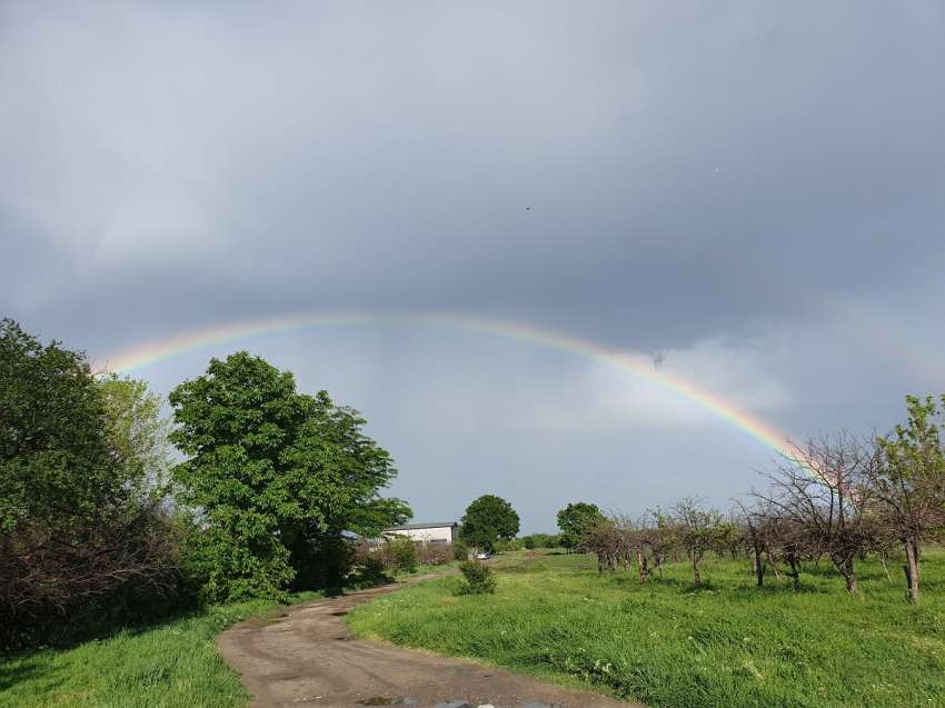 ��� �������� ���� ��������� ��: ����� ������� ��� ����� �� ���� ������� ����������