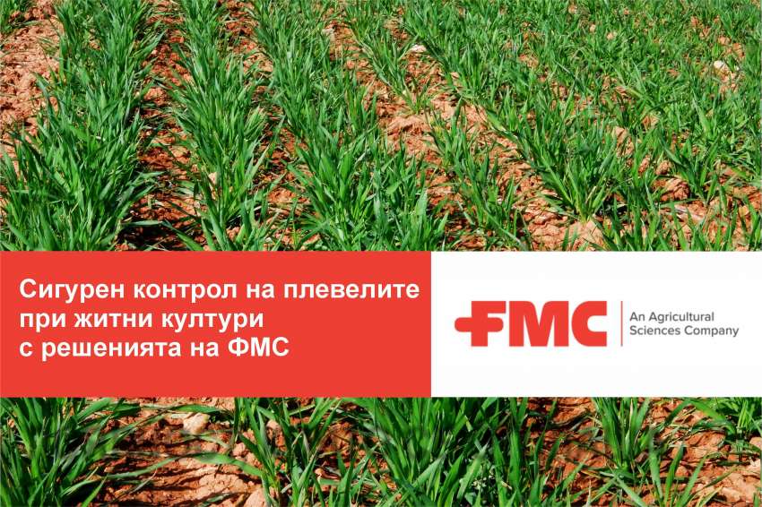 ��������� � ������� ������� �� ��������� ��� ����� ������� � ��������� �� ��� ���� ��������