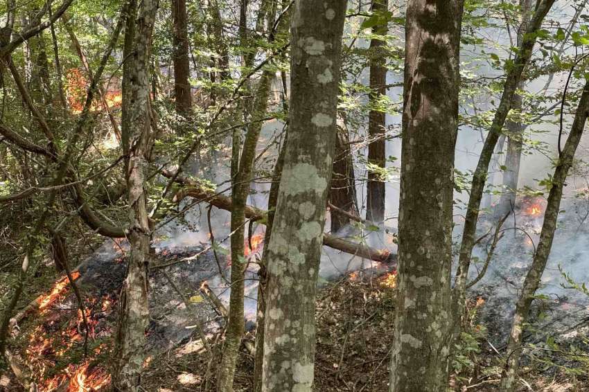 �� ��������� ������� �� ������ � ������ � ���� �������� � ��������� � ��������