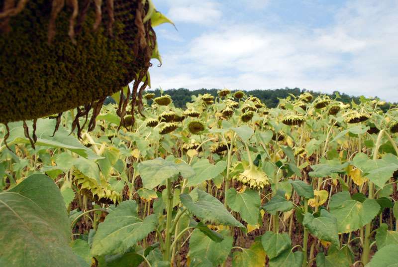 � ����� 20% ��-����� ���������� � ������� ���� 2025/26 �.